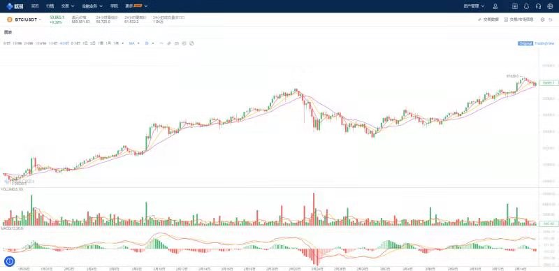 炒币1000赚了300万